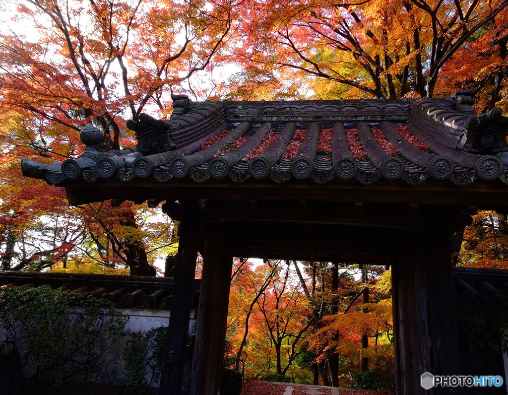 晩秋・山寺にて