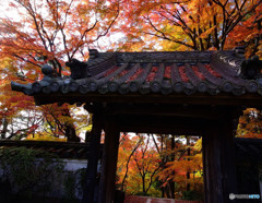 晩秋・山寺にて