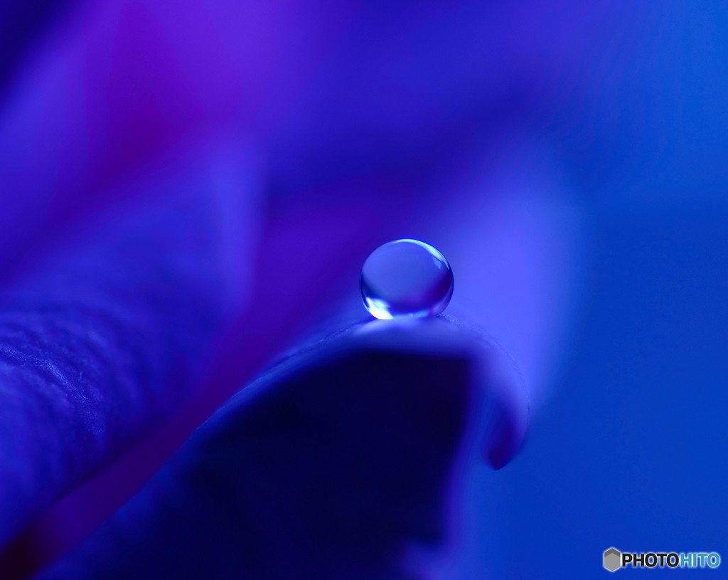 蒼の鼓動