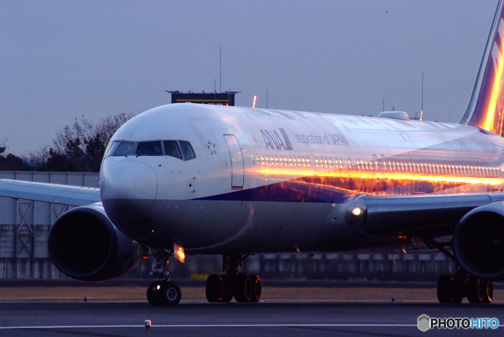 Japanese beautyⅤ✈HARADA