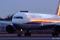 Japanese beautyⅤ✈HARADA