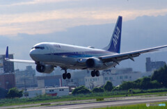 HARADAの朝✈Boeing737-800