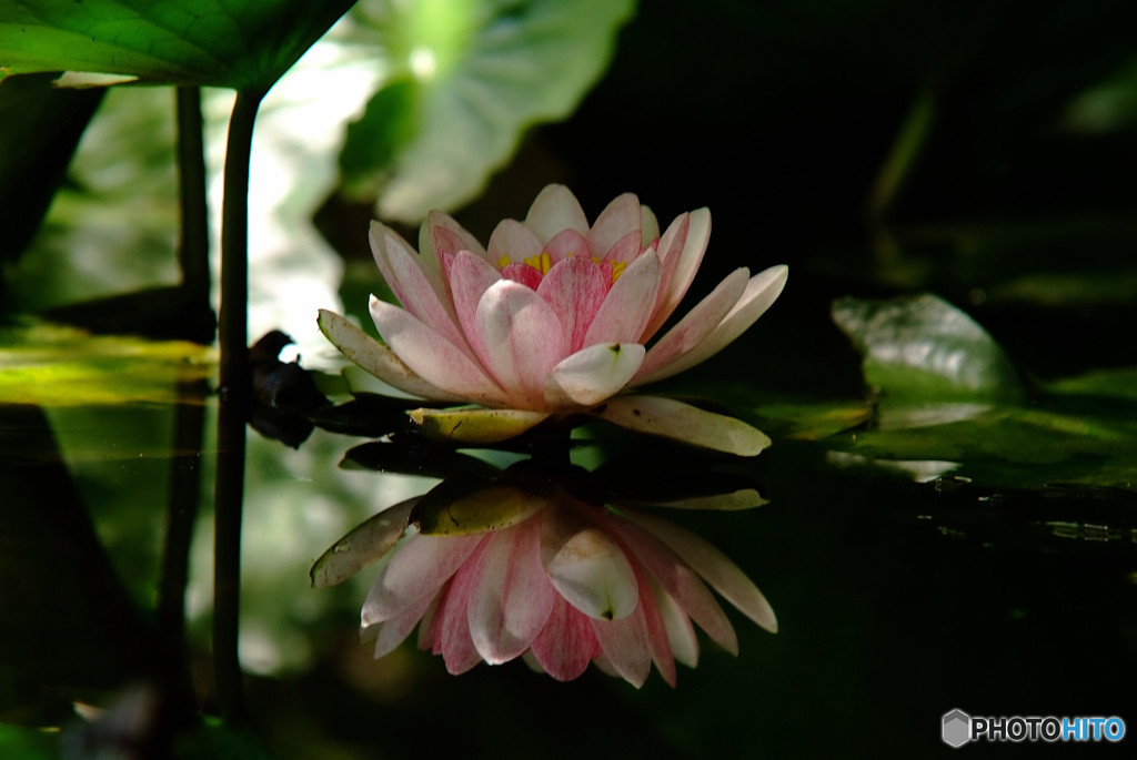 やすらぎの時・睡