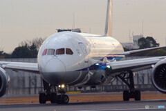 いい日旅立ち✈Boeing 787-8