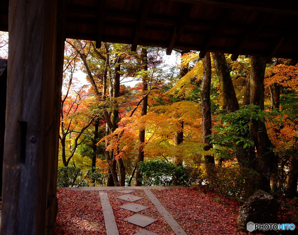 紅葉散策・山寺にて