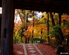 紅葉散策・山寺にて