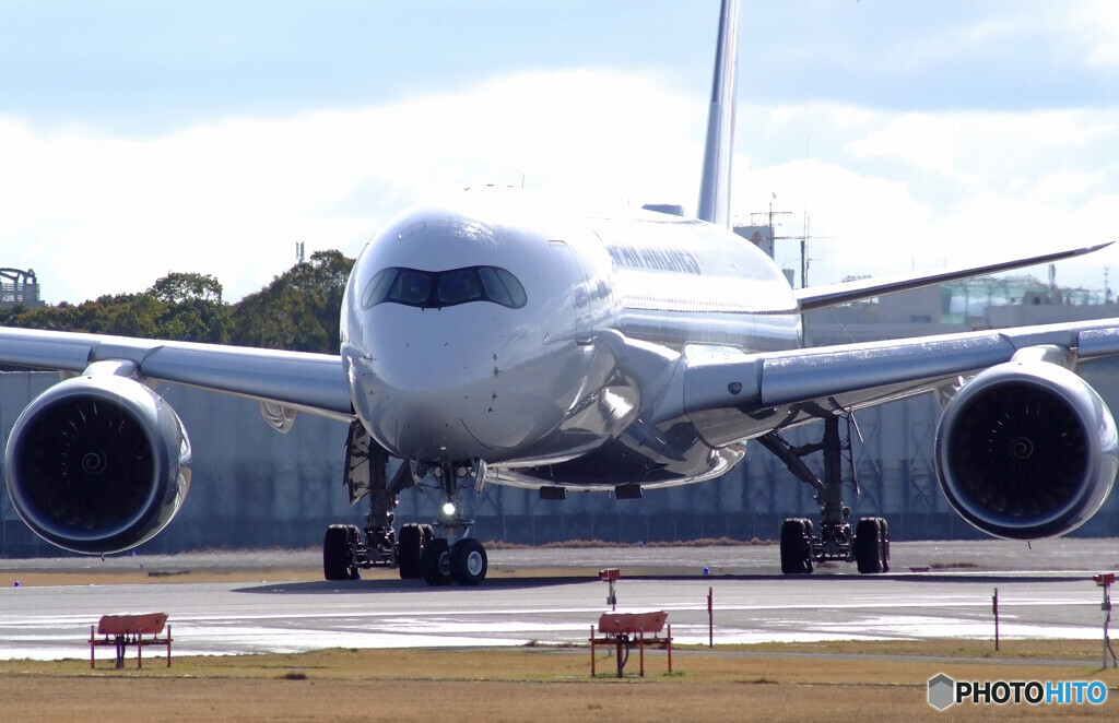 March Morning✈JA11XJ