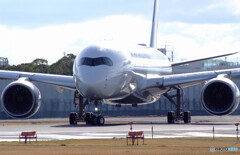 March Morning✈JA11XJ