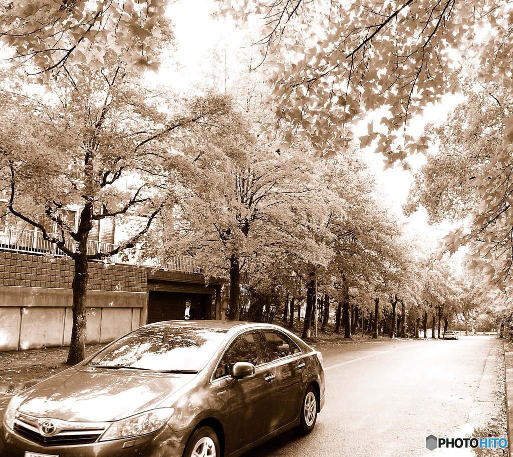 セピア色の三彩街道にて