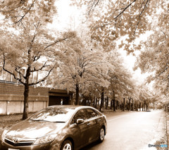 セピア色の三彩街道にて