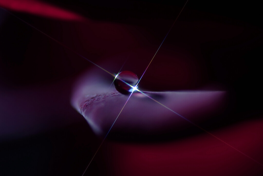 Morning moon✿輝き