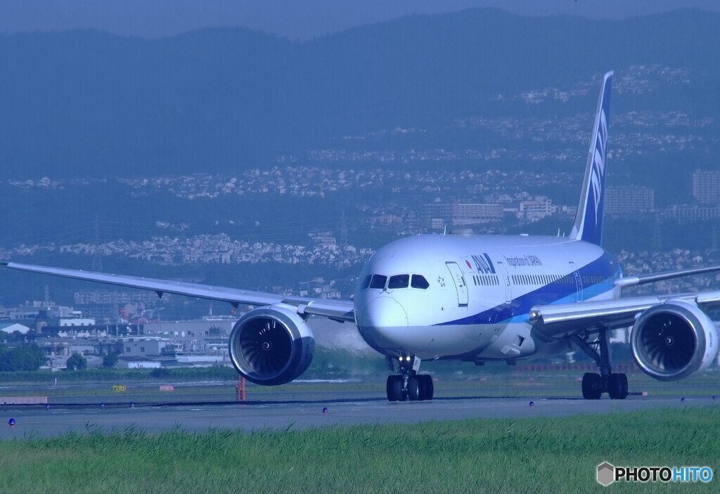 癒しの時間Ⅲ✈2020夏