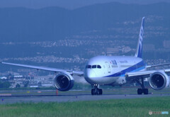 癒しの時間Ⅲ✈2020夏