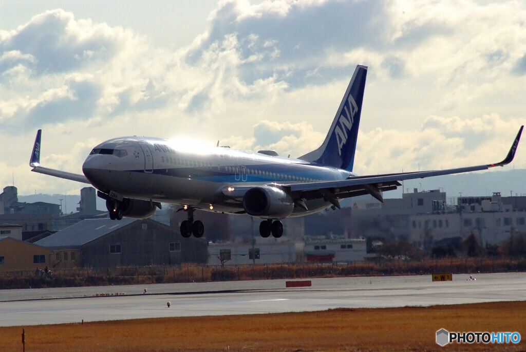 Shining STAR★Boeing 737-800