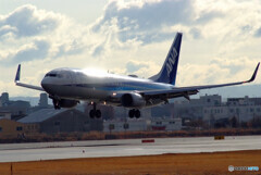 Shining STAR★Boeing 737-800