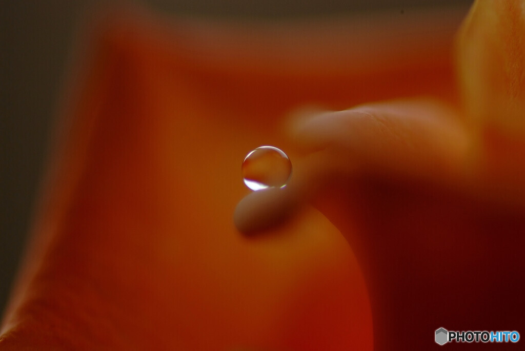 癒しの時✾雫