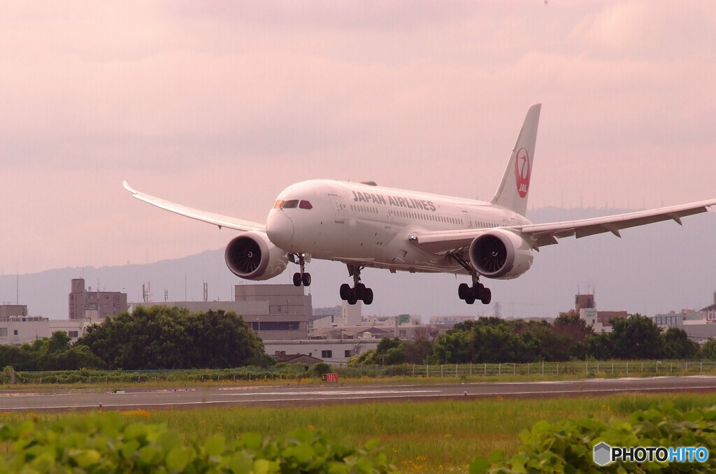 Healing Place✈HARADA787-8