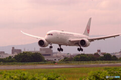 Healing Place✈HARADA787-8