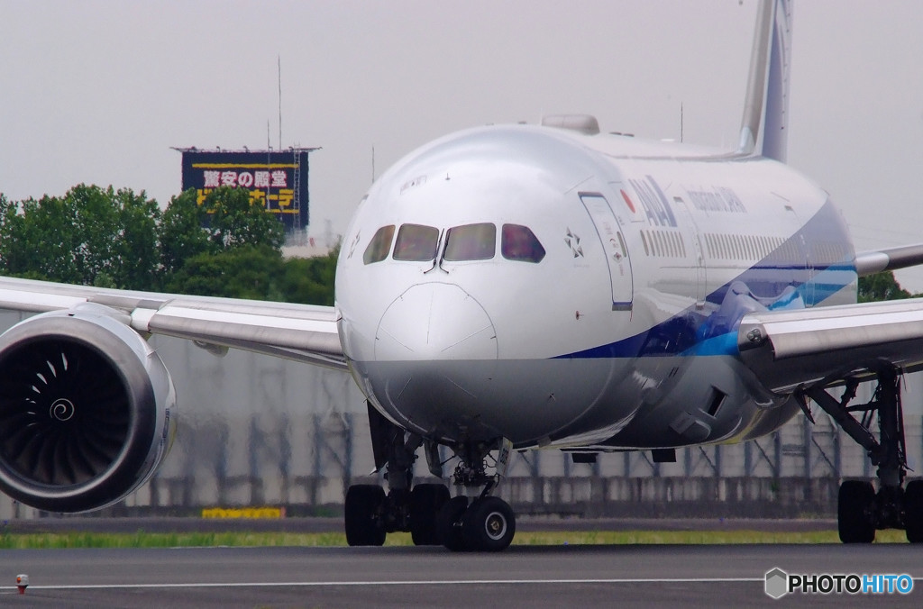 Nice Afternoon・787