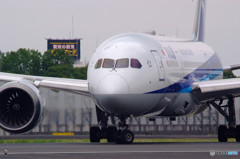 Nice Afternoon・787