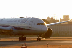 静寂の朝★Boeing787-8
