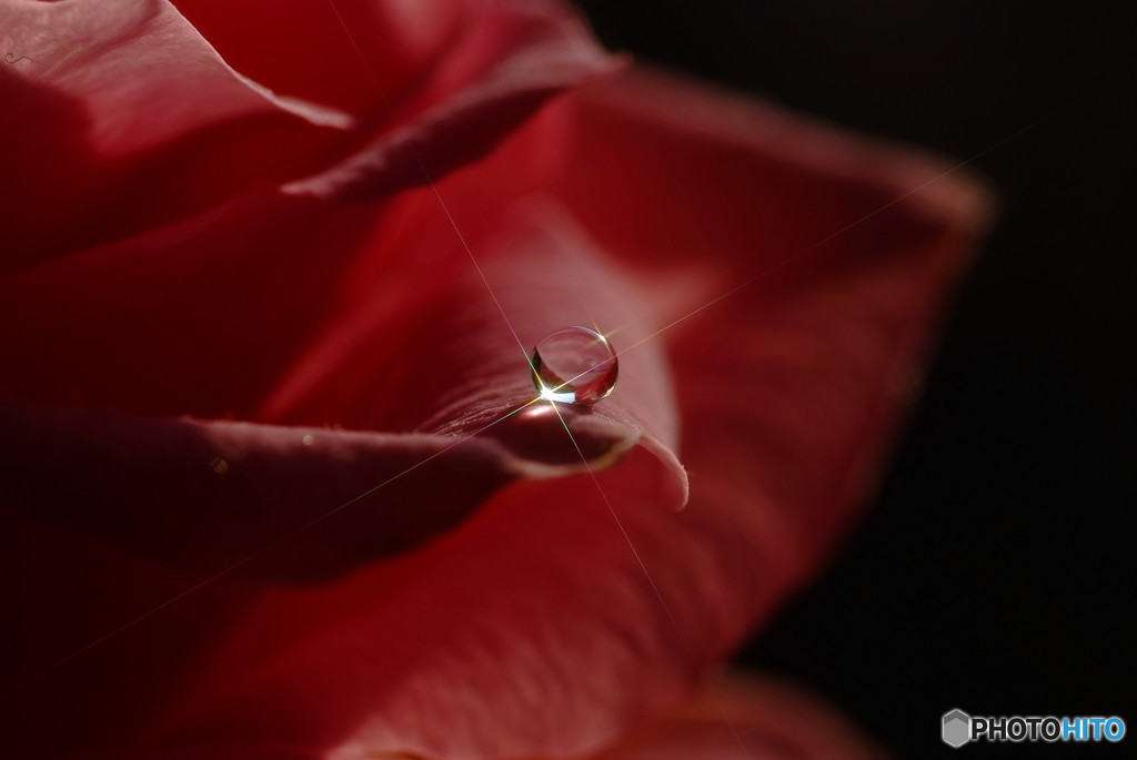 紅の十字架・雫