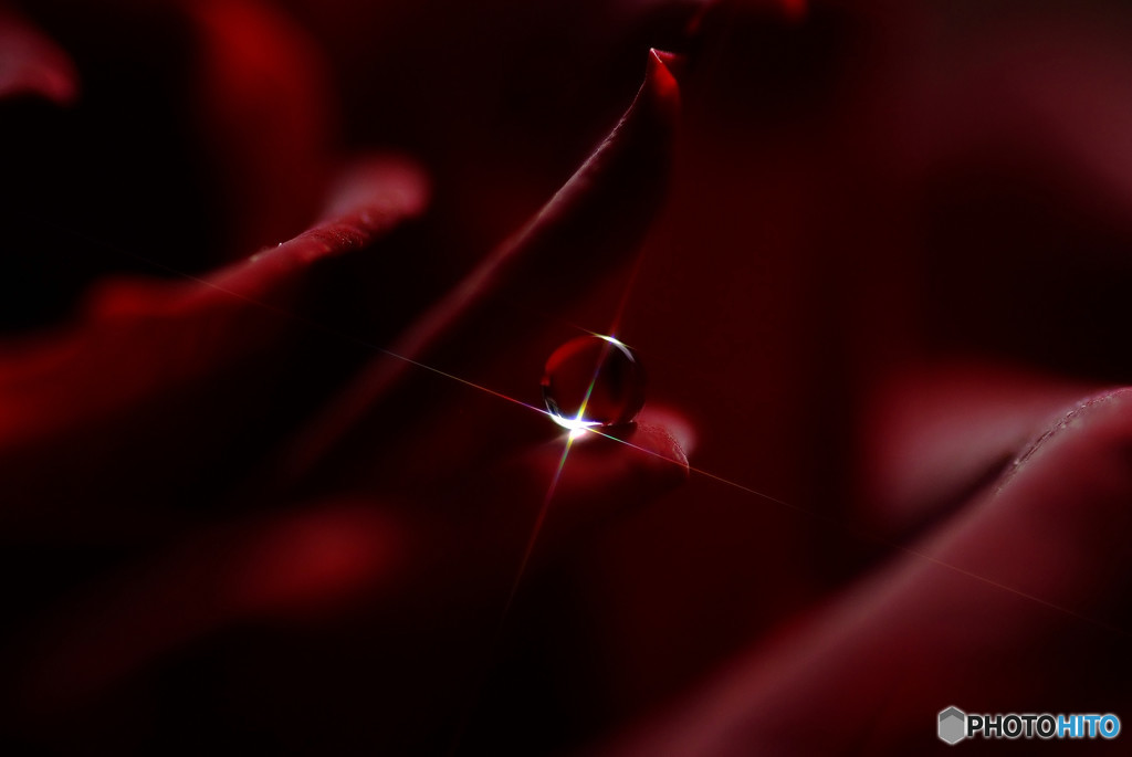 明日への光・雫