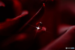 明日への光・雫