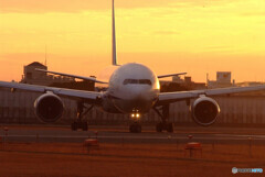 Harada Magic✈Boeing 777-281/ER