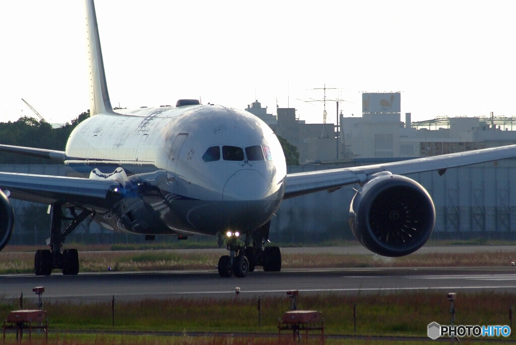 11月の旅路✈Boeing787-8