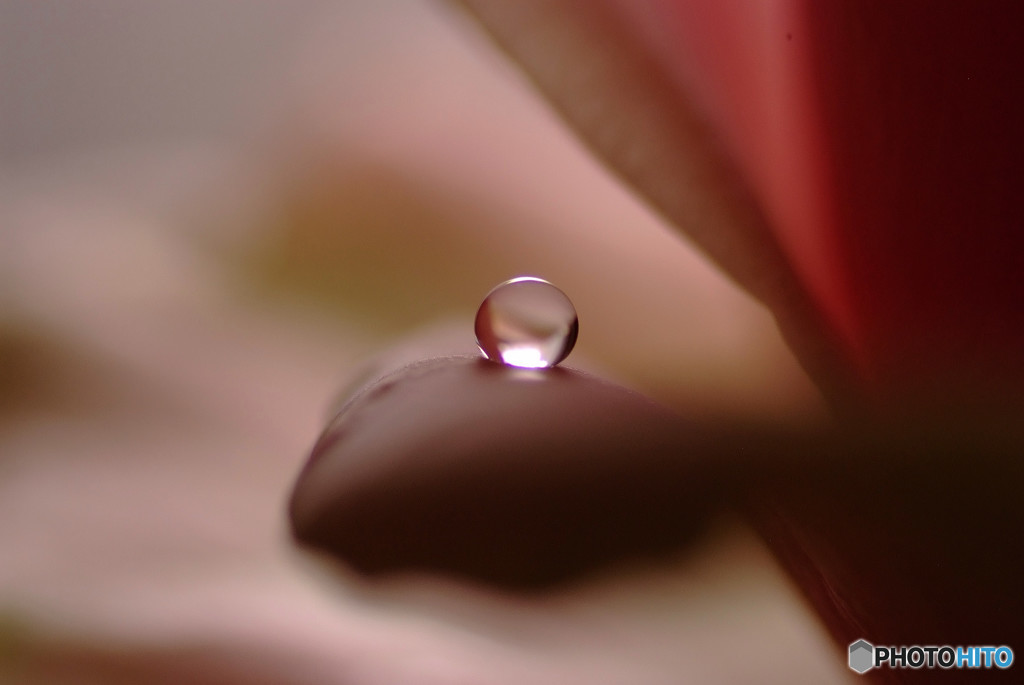 愛しき惑星Ⅲ・雫