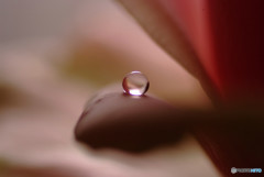 愛しき惑星Ⅲ・雫