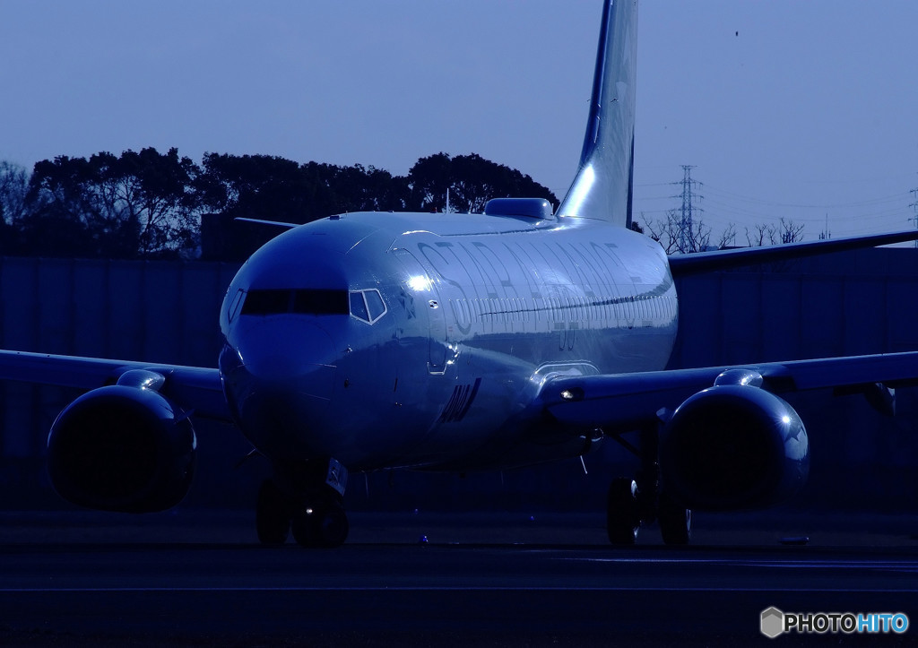 Blue Thunder・737