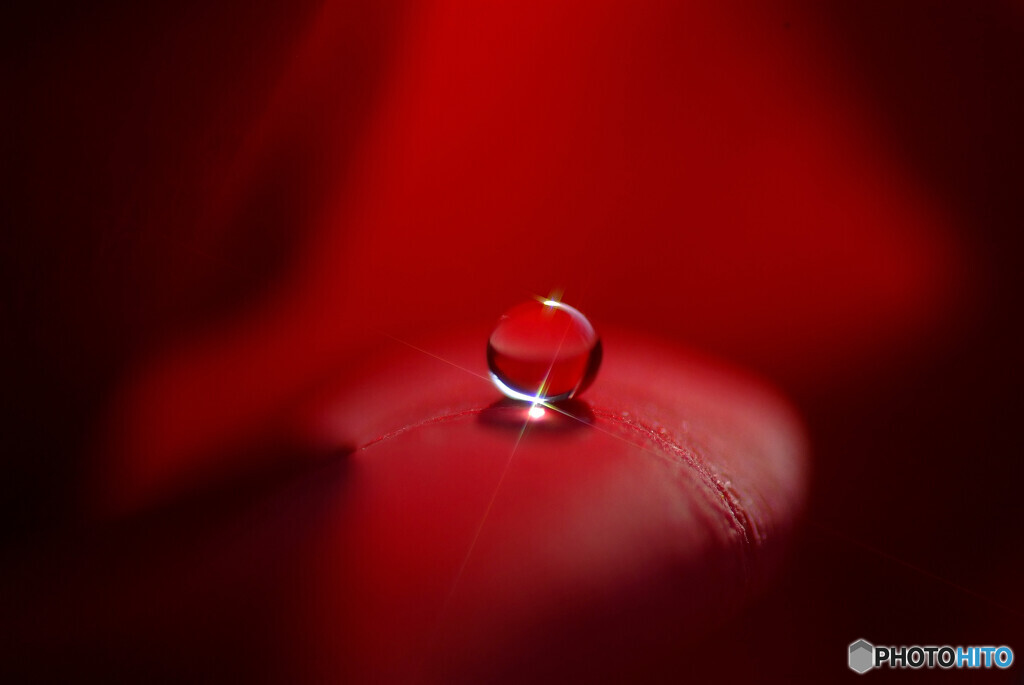 心の十字架・瞳