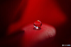 心の十字架・瞳