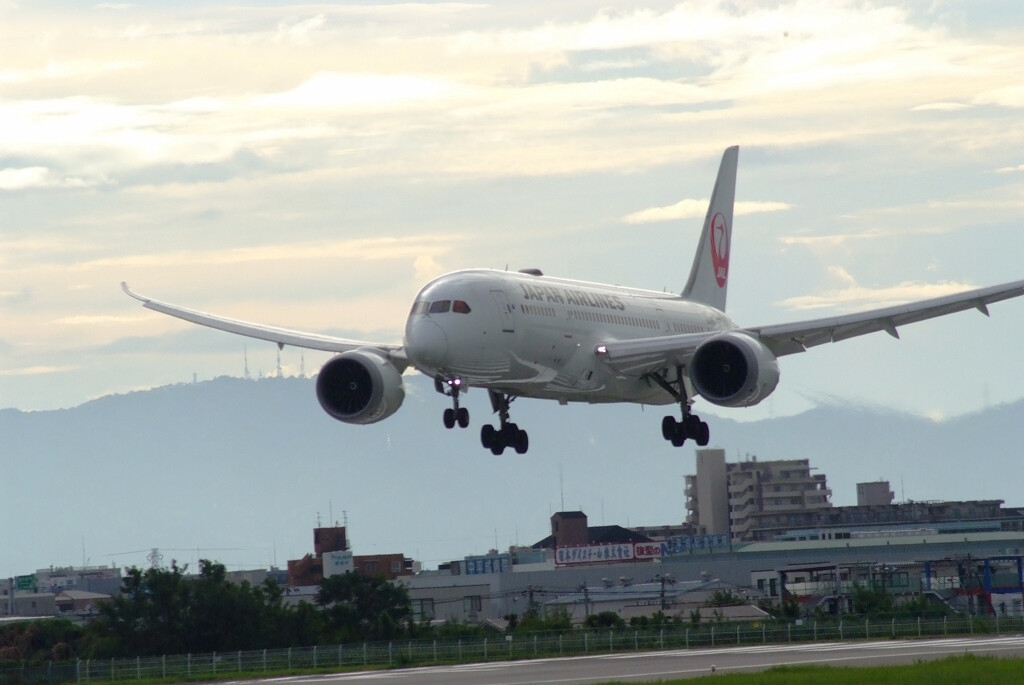 俺たちの旅➒✈Boeing787-8