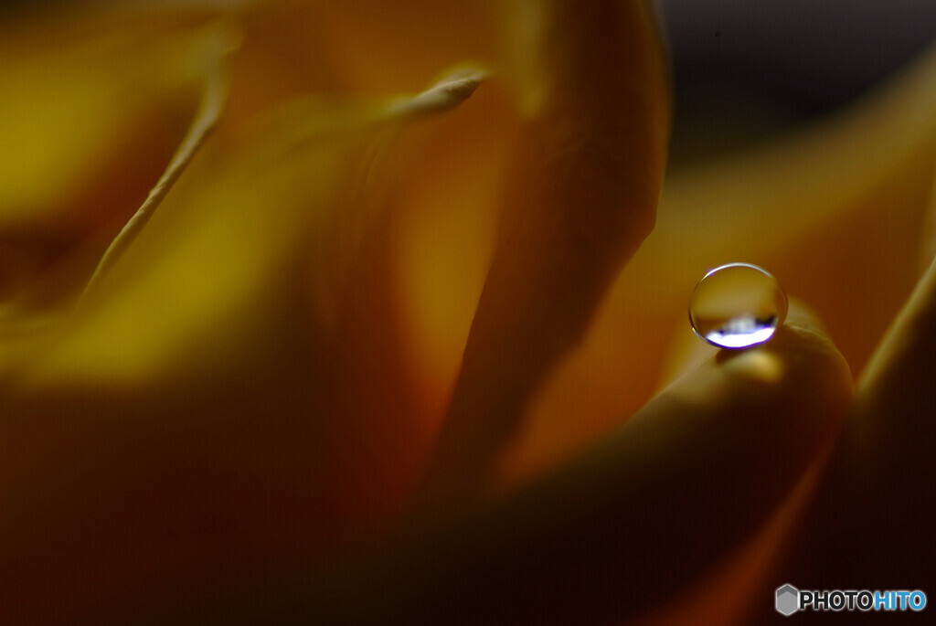 雫遊び♩週末の朝に