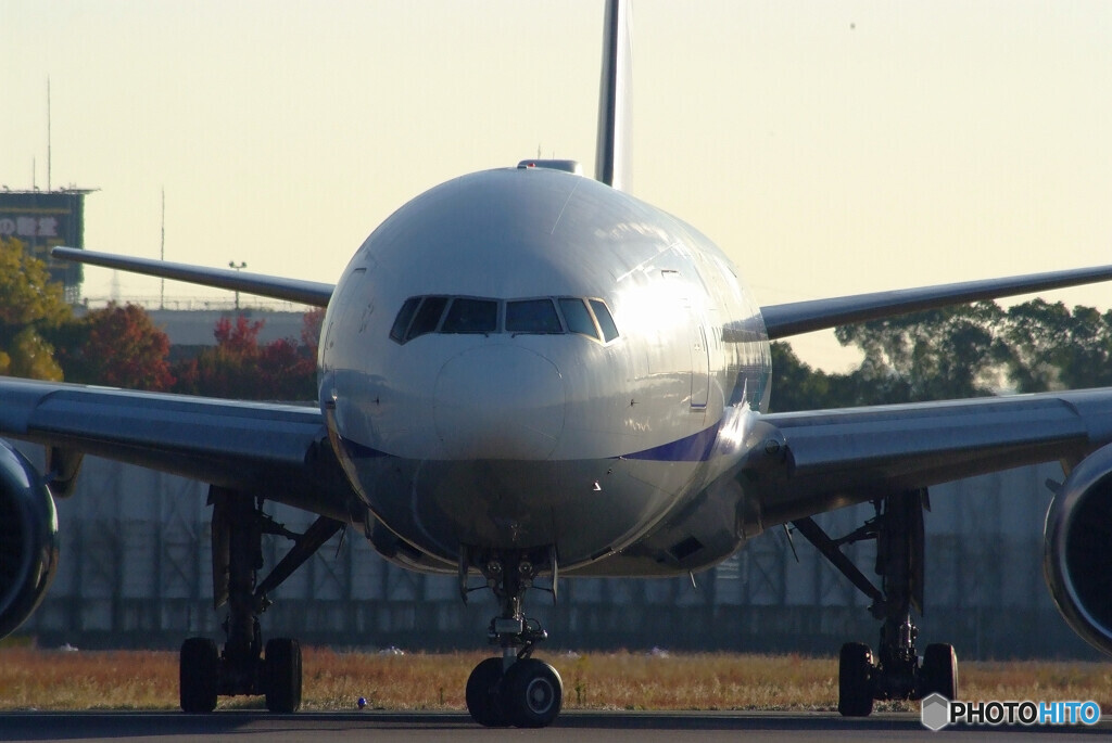 November MorningⅡ✈Boeing 777-200