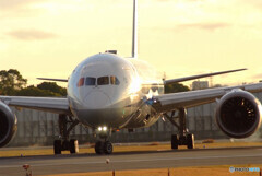 November MorningⅨ✈Boeing787-8