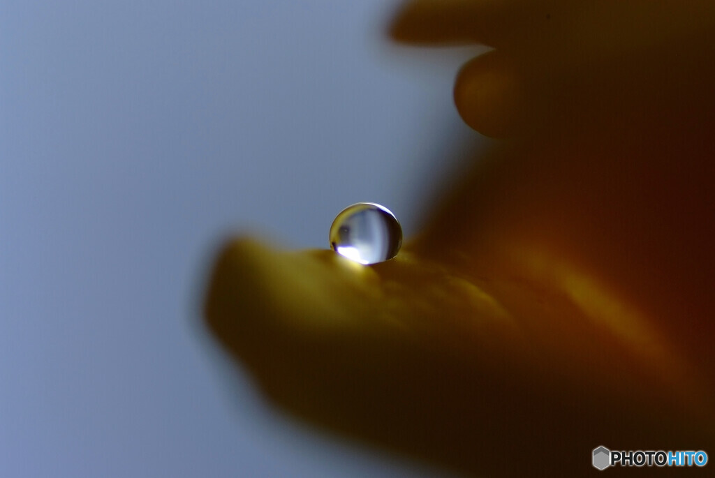 静寂の雫✾皐月