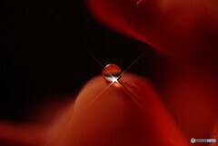 Natural Light✿十字架