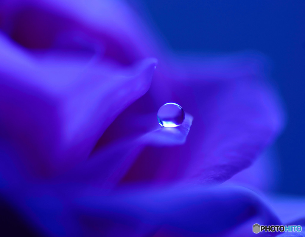 蒼い世界の中心で