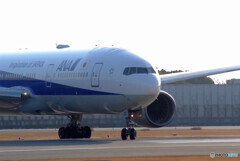 花見月の翼✈Boeing777-200