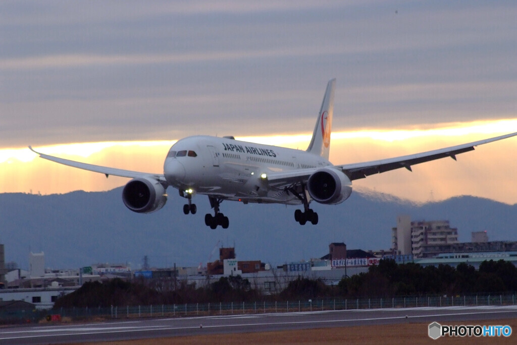 JAPANの朝Ⅴ✈Boeing 787-8