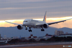 JAPANの朝Ⅴ✈Boeing 787-8