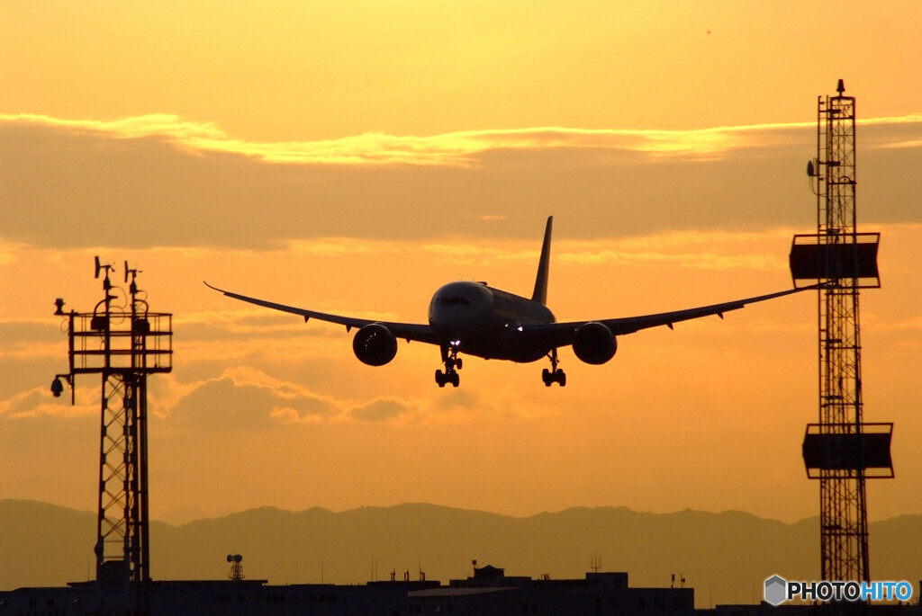 ITMの朝焼け✈Boeing787-8