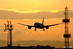 ITMの朝焼け✈Boeing787-8