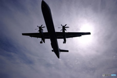 Light and shadow Ⅱ