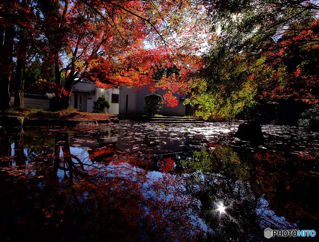 三彩物語・紅葉