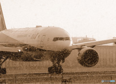 白銀の世界Ⅴ・JA708A